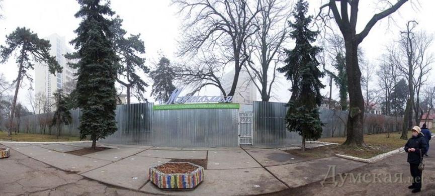 Одесская «Магнолия» останется без парка: под вырубку списали 380 деревьев