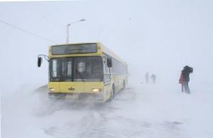 В Одесской области в сугробе застрял международный автобус
