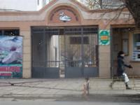 В Одесском зоопарке питомцы вывели своих малышей в открытые вольеры ФОТО